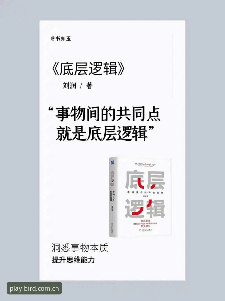 资深体育总监实战经验：从贝纳蒂亚处理拉比奥事件看管理决策的底层逻辑