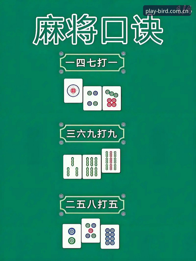 小鸟棋牌平台快速上手指南：Bird棋牌APP安卓安装与设置教程
